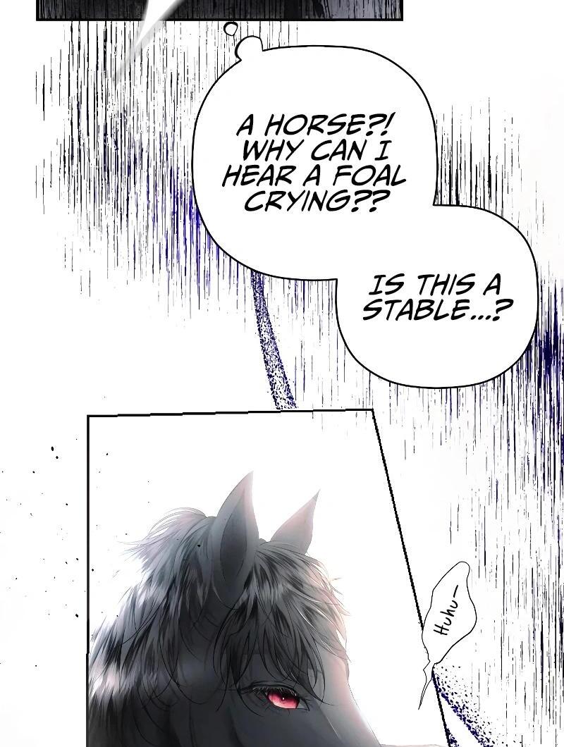 74288210 800 1060 126404